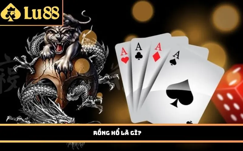 Rồng Hổ là gì?