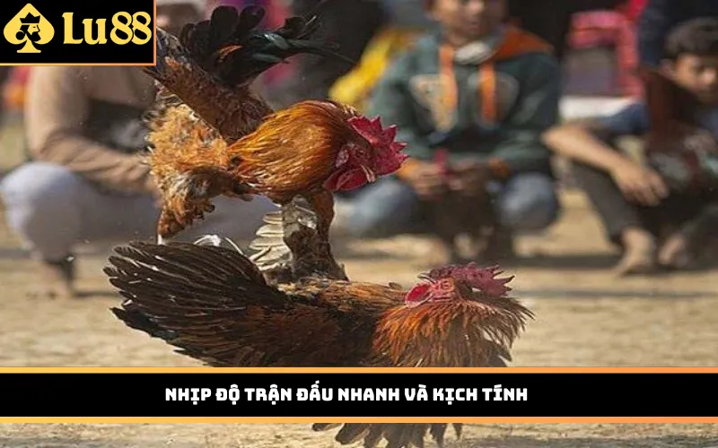 Nhịp độ trận đấu nhanh và kịch tính