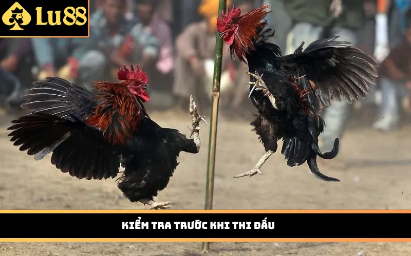 Kiểm tra trước khi thi đấu