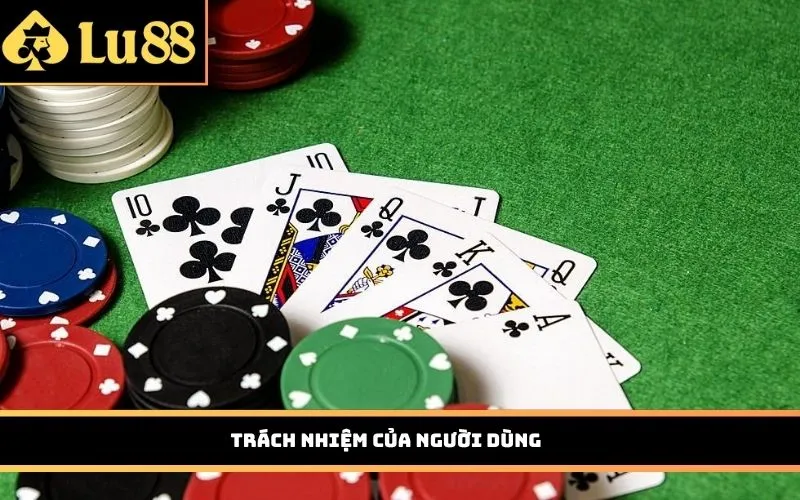 Trách nhiệm của người dùng