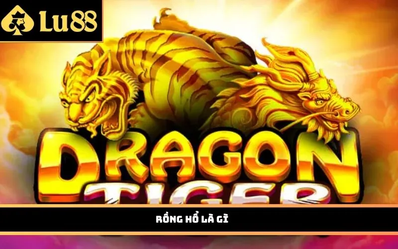 Rồng Hổ